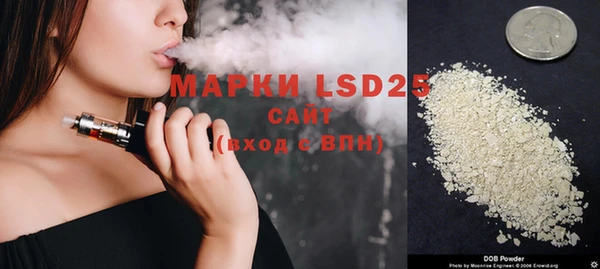 шишки Аркадак