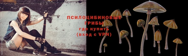 дживик Арсеньев