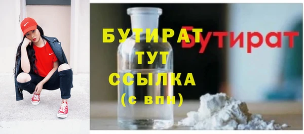 шишки Аркадак