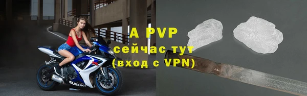 дживик Арсеньев