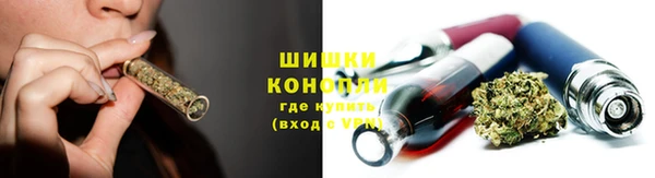 шишки Аркадак