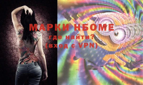 шишки Аркадак