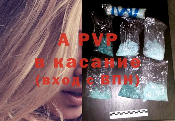 шишки Аркадак