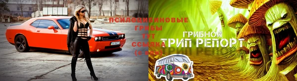 дживик Арсеньев